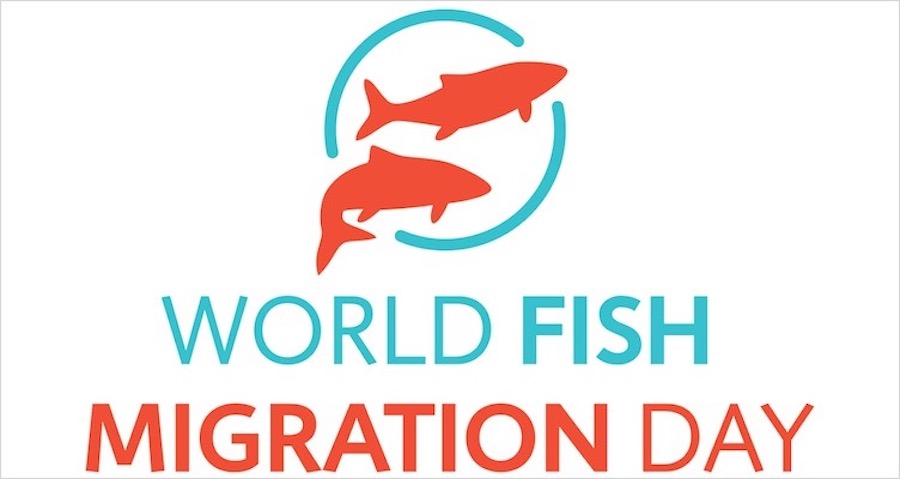 logowfmd