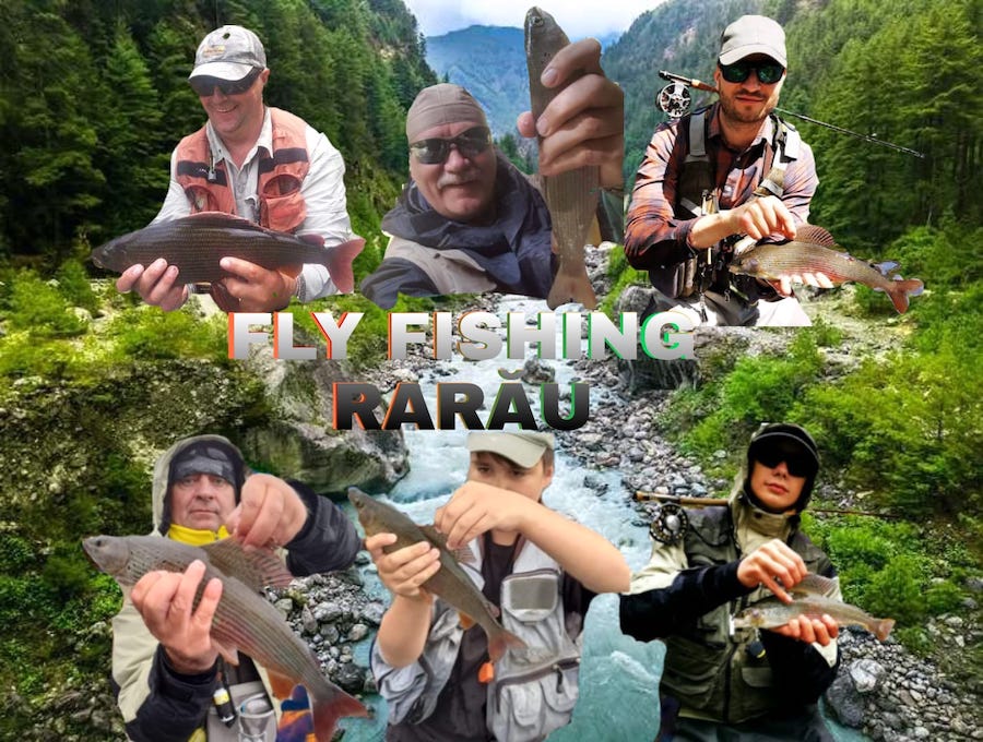 ffrarau2022_02