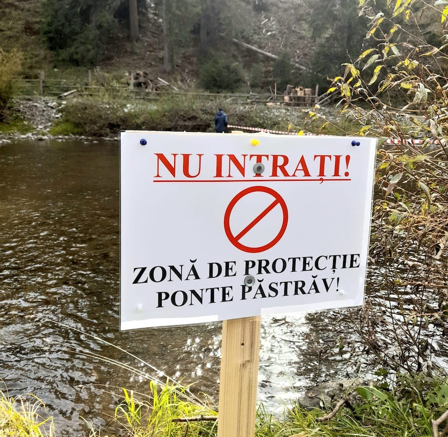 ffrarau2022_03
