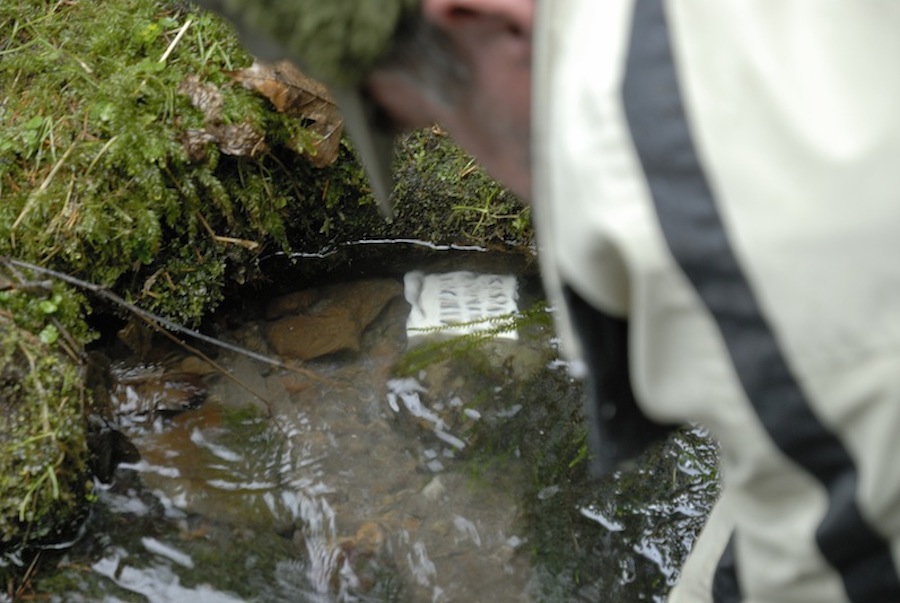 Stacks Image 81