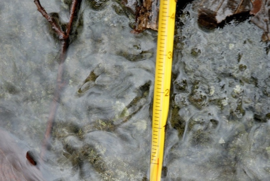 Stacks Image 13