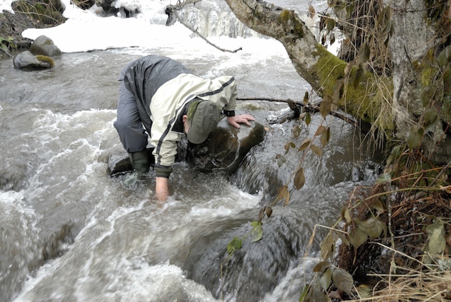 Stacks Image 91