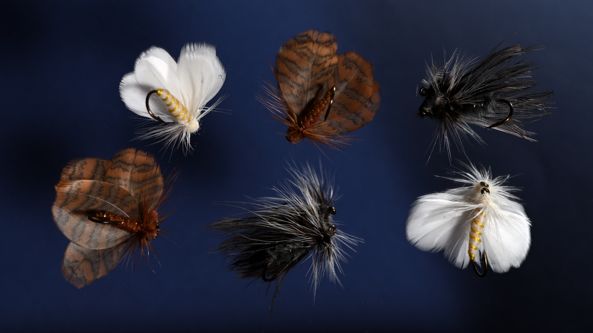 Stacks Image 4