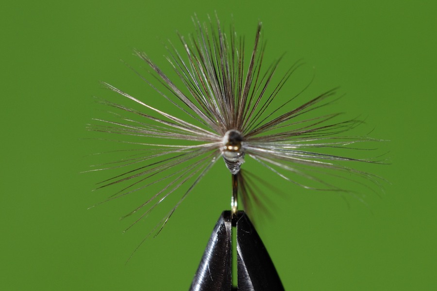Stacks Image 121