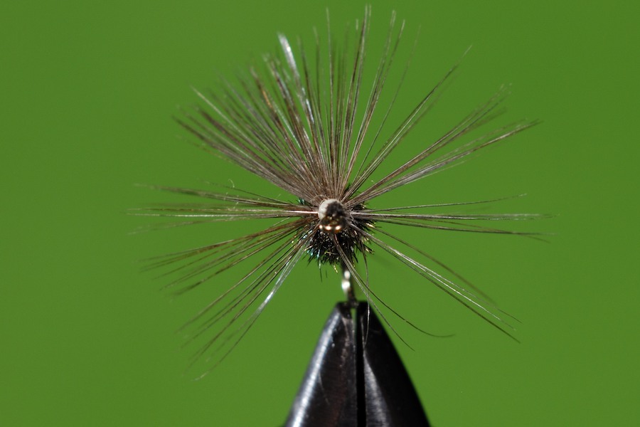 Stacks Image 137