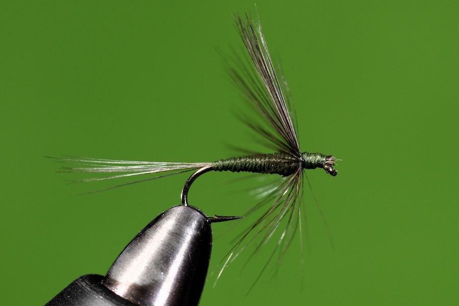 Stacks Image 131