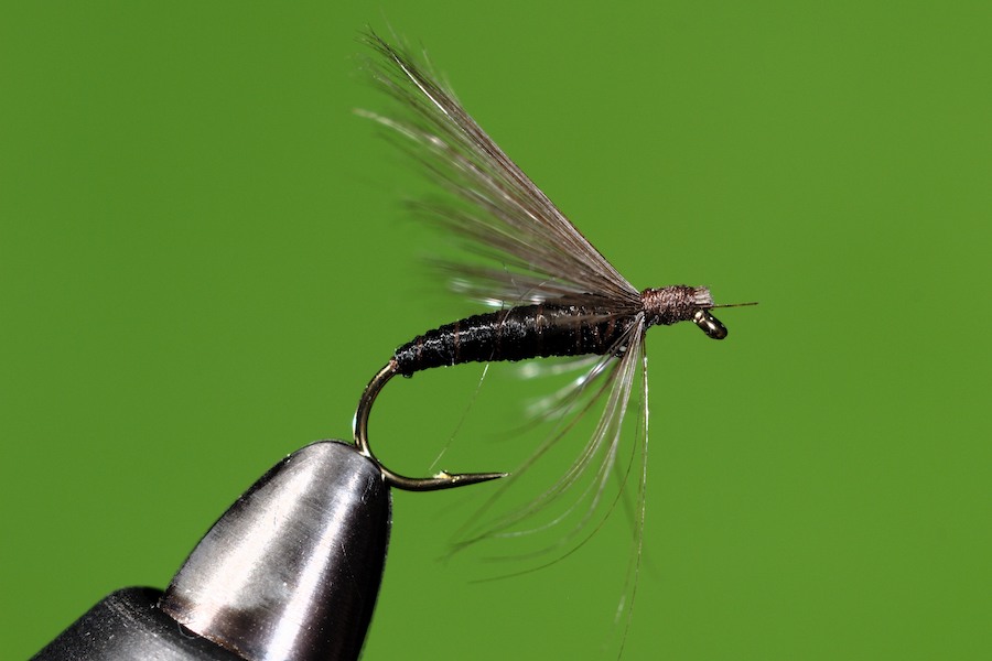 Stacks Image 111