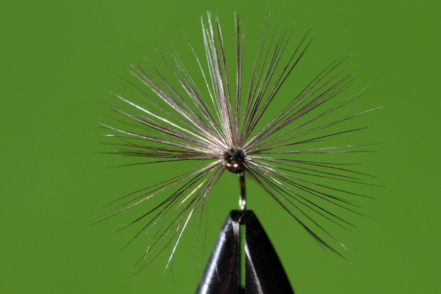 Stacks Image 133