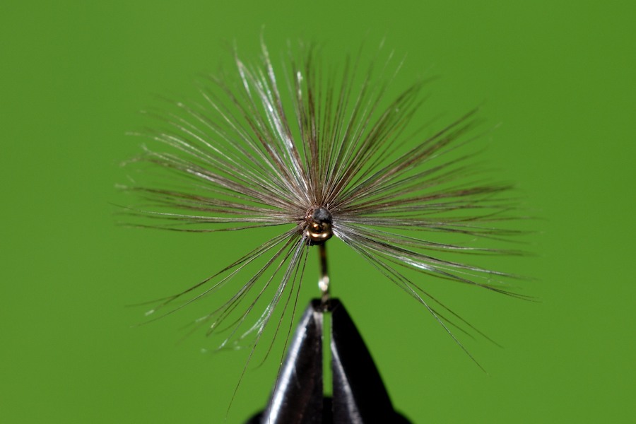 Stacks Image 113
