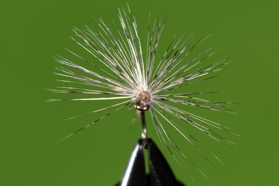 Stacks Image 61
