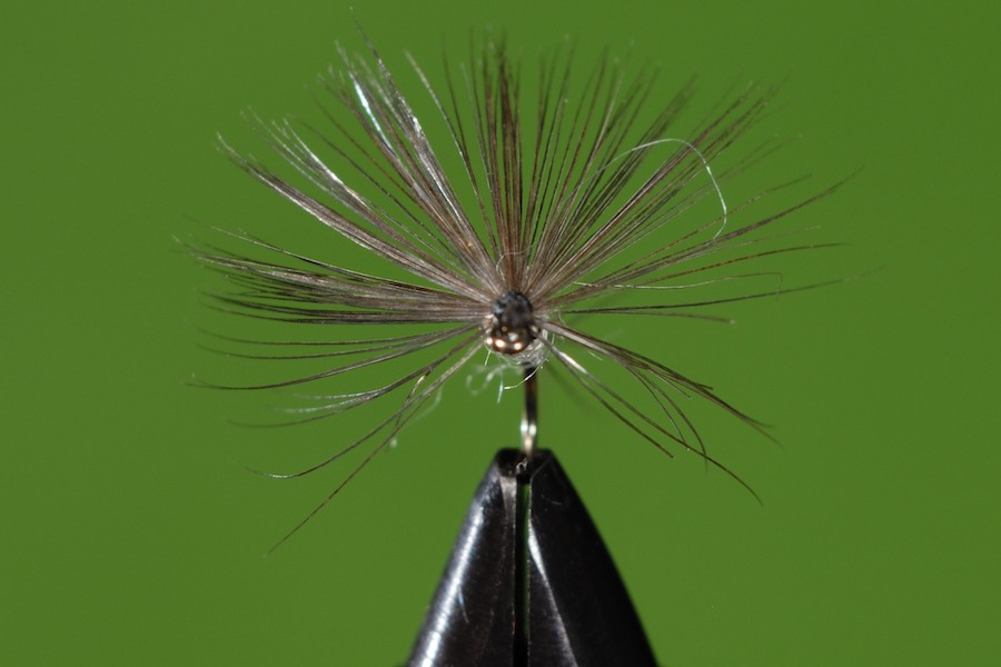Stacks Image 129