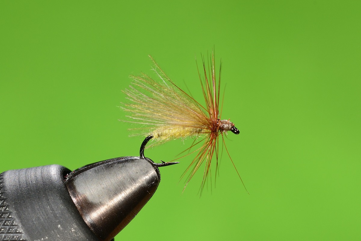 Olive Caddis