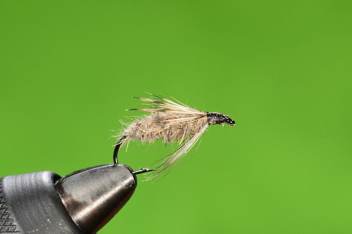 P’s Hare’s Emerging Caddis