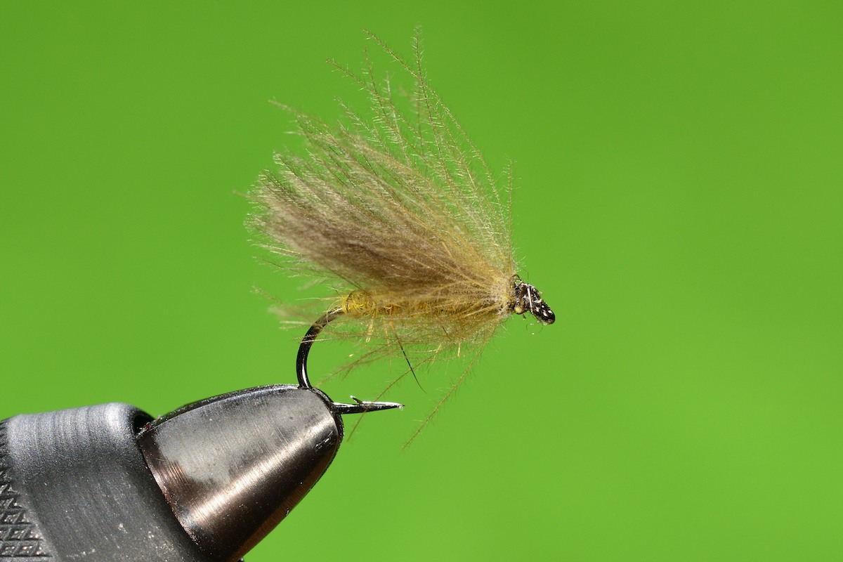 CDC Light Olive Caddis