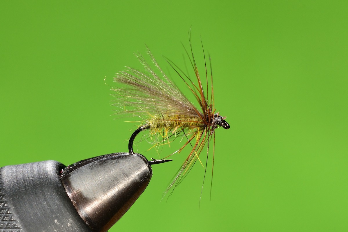 P’s Dark Olive
