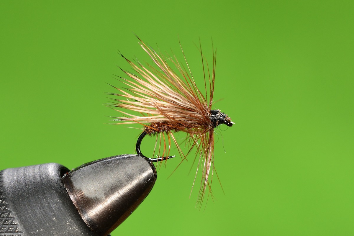 P’s Hackled Brown Elk Wing Caddis