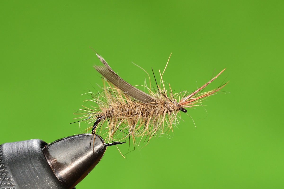 No-hackle Hare’s Caddis