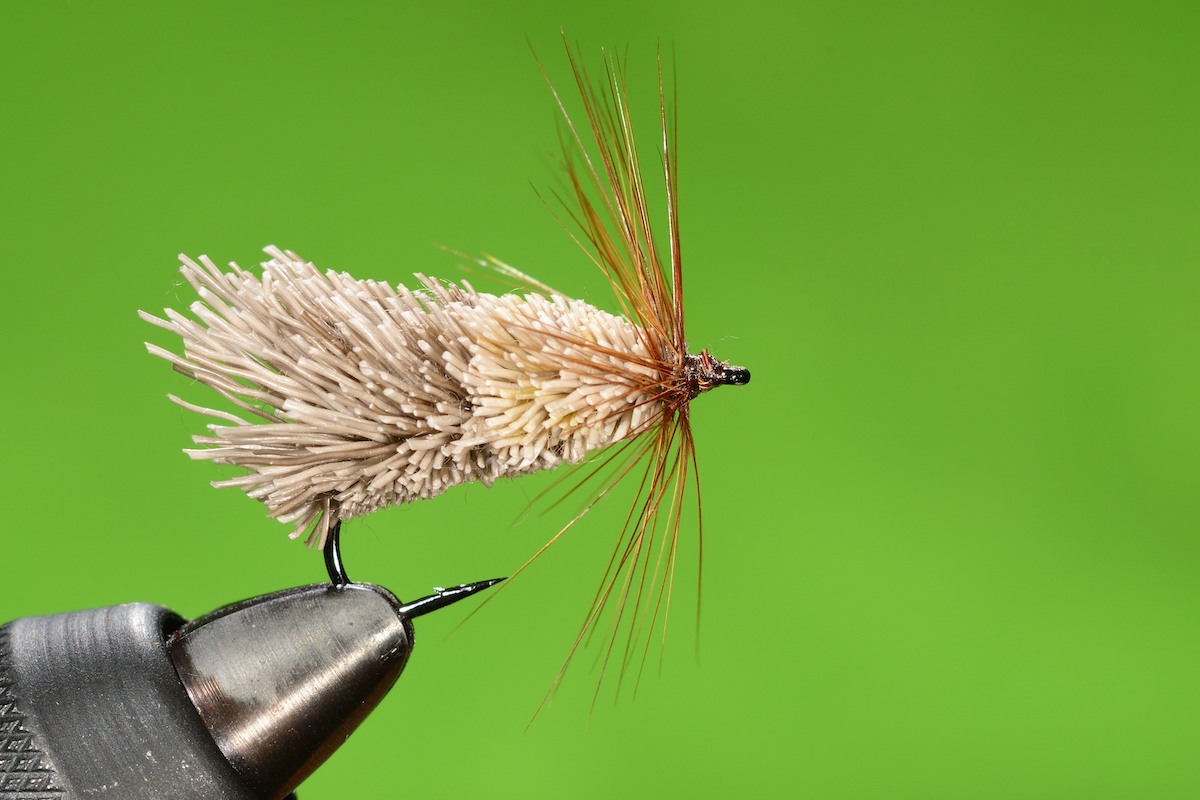 Goddard Caddis