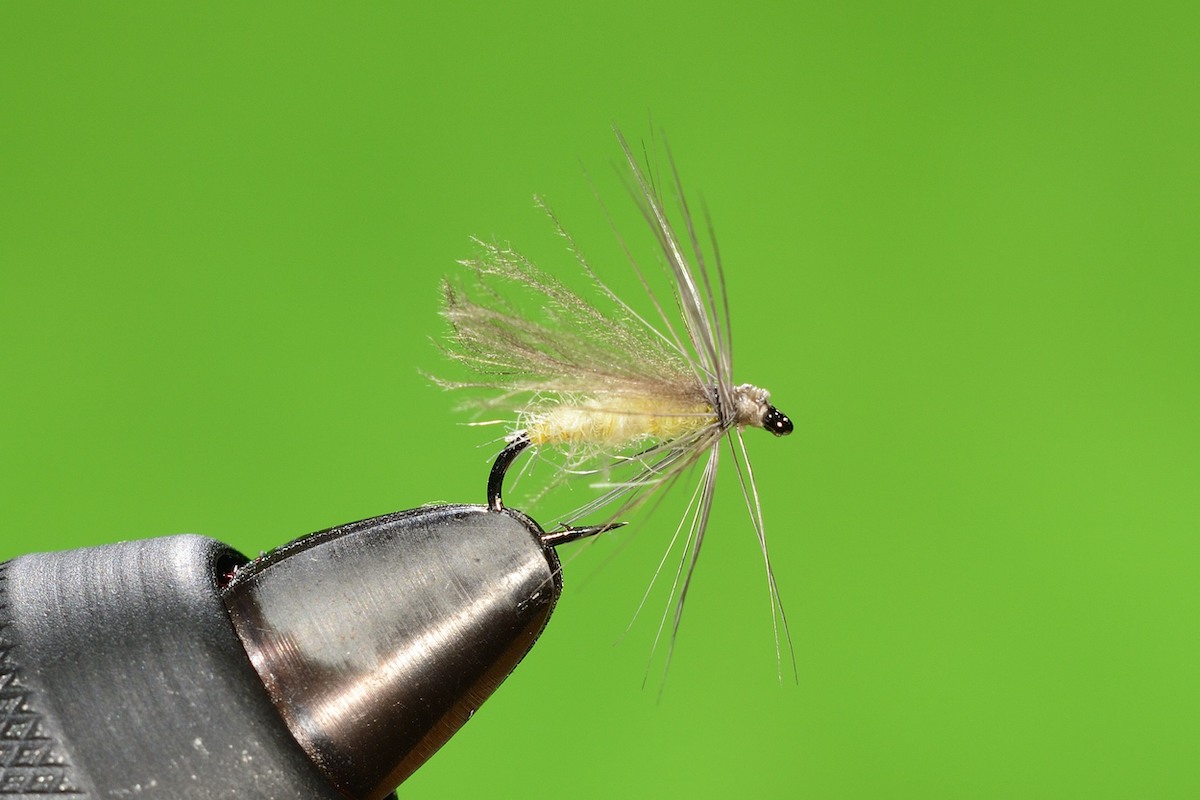 Yellow Olive Caddis