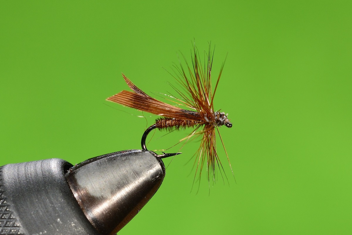 P’s Dark Brown Sedge