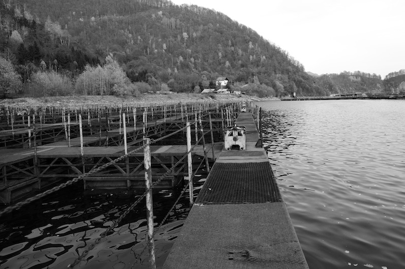 Stacks Image 137