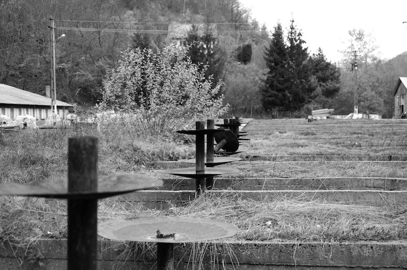 Stacks Image 115