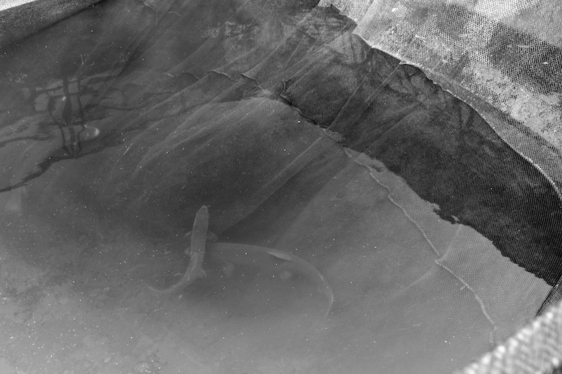 Stacks Image 97
