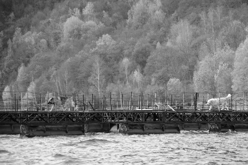 Stacks Image 83