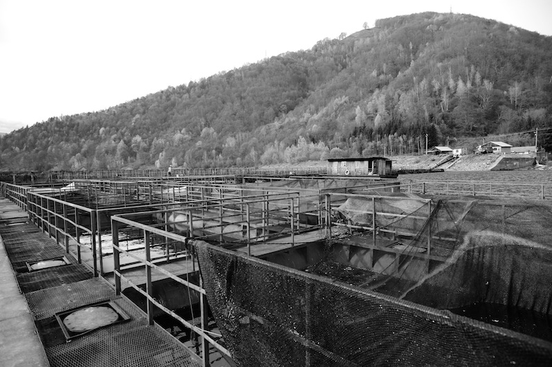 Stacks Image 101