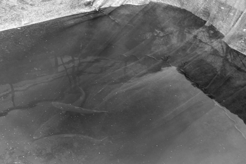 Stacks Image 99
