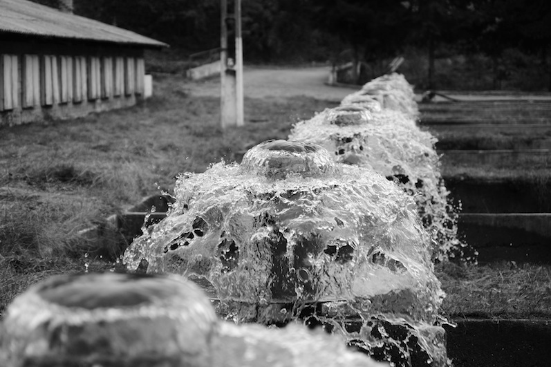Stacks Image 65