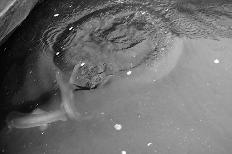 Stacks Image 93