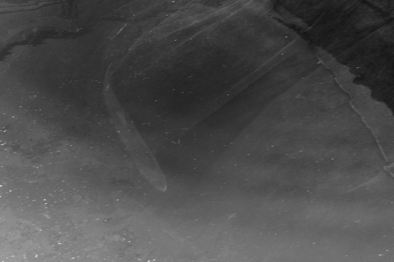 Stacks Image 95